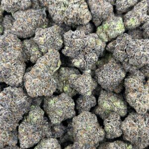 PURPLE GUMBO